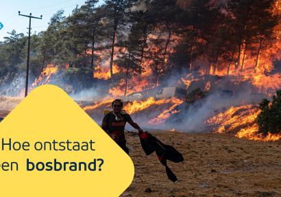foto van een bos dat in brand staat.