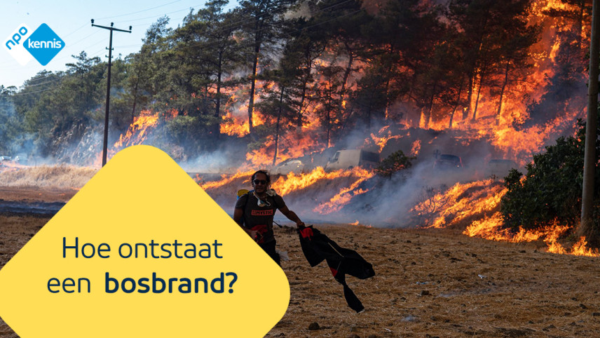 foto van een bos dat in brand staat.