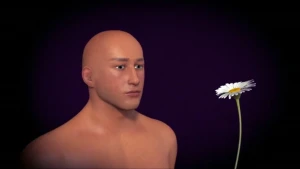 Één van je zintuigen