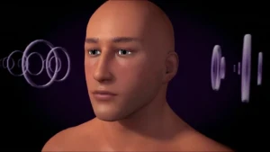 Één van je zintuigen