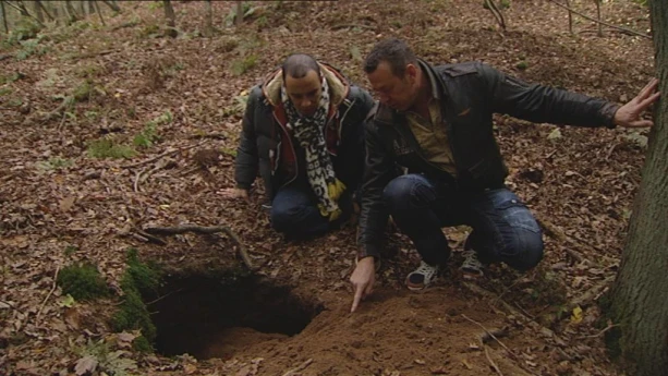 Hoe ziet een dassenburcht eruit?