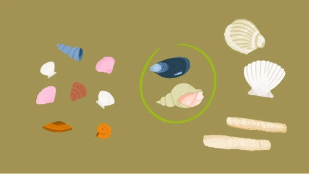 Rekenen met Moffel en Piertje