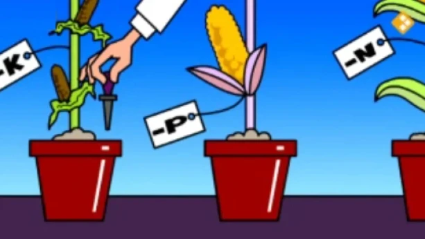 Wat is kunstmest en wie heeft het ontdekt?