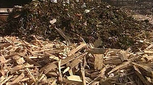 Groenafval wordt opnieuw gebruikt