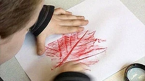 Hoe maak ik bladnerven?