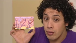 Erfelijkheid en hormonen 