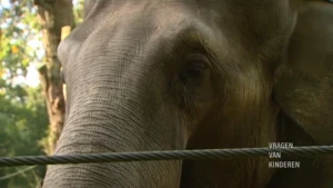 Oppakken, drinken, zuigen en ruiken