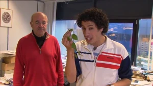 Een plant met kleine injectienaaldjes