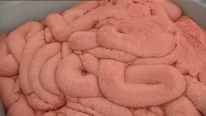 Het worstje zonder vel