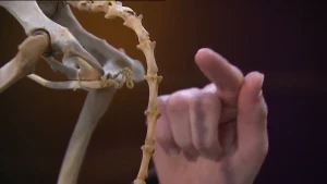 Een communicatiemiddel