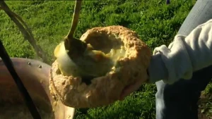 Een typisch Nederlands gerecht