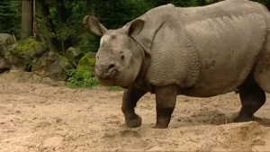 Op kilometers afstand