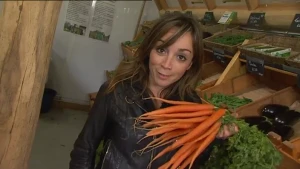 Wortels in alle kleuren