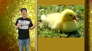 Een goede schutkleur 