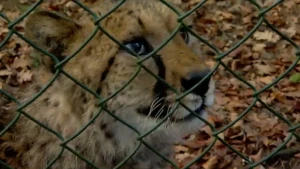 120 kilometer per uur