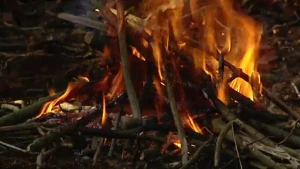 Overleven in de natuur