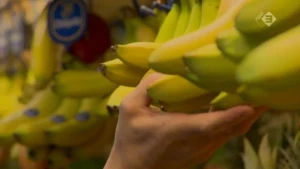 Weg van bananen