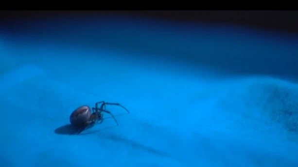 Is het snugger of kletspraat?