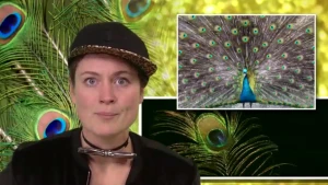 Mannetjes moeten opvallen, vrouwtjes niet