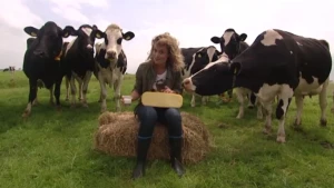 Melk met zuursel, stremsel en zout