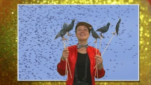 Stunten zonder ongelukken