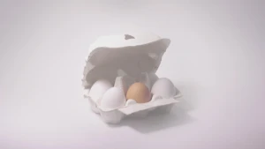 Wat kost een ei?