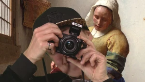 Bescherming van de schilderijen