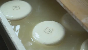 Geitenmelk is witter dan koemelk