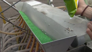 Alle radijsjes netjes op een rij