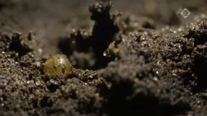 Onder het voetbalveld