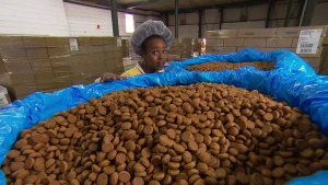 Kruidnoten uit de fabriek