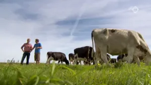 De biologische veehouderij