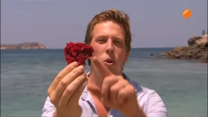 Zeeschildpad en komodovaraan