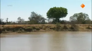 Het nijlpaard en de giraffe