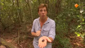 Miljoenpoot, groene boomhagedis en valse gaviaal