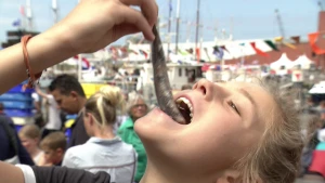 Rauwe haring, echt Hollands