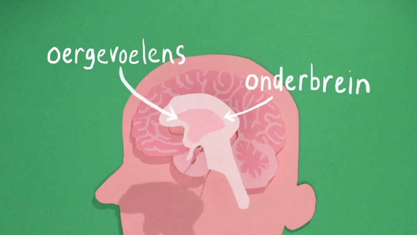 Niet flippen, rechillen!