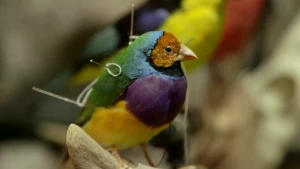 Dood, maar toch levensecht