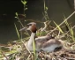 Natuur
