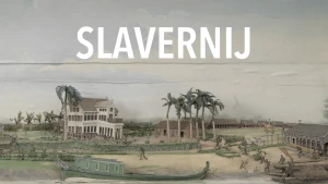 Slavernij in het Rijksmuseum