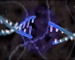 Van DNA tot Z in de klas