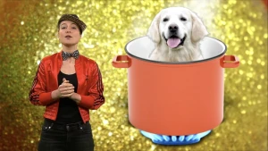 Geen huisdieren op het menu