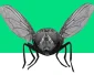 Waarom zijn insecten nuttig?