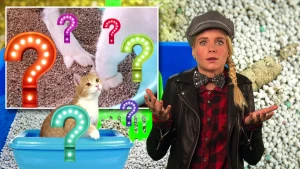 Een schoon territorium voor Poekie