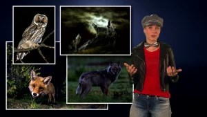 Hoe banger, hoe alerter