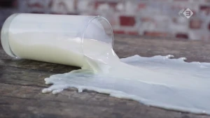 Hoe gezond is melk?