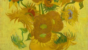 De zonnebloemen van Vincent uit Arles