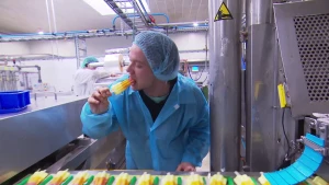 Bevroren limonade op een stokje