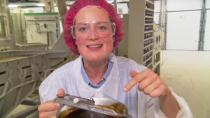 Van zoethoutwortelsap naar snoepje