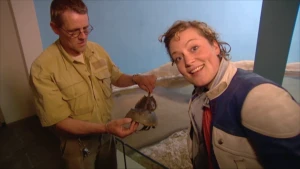 Evolutie begon met eencelligen